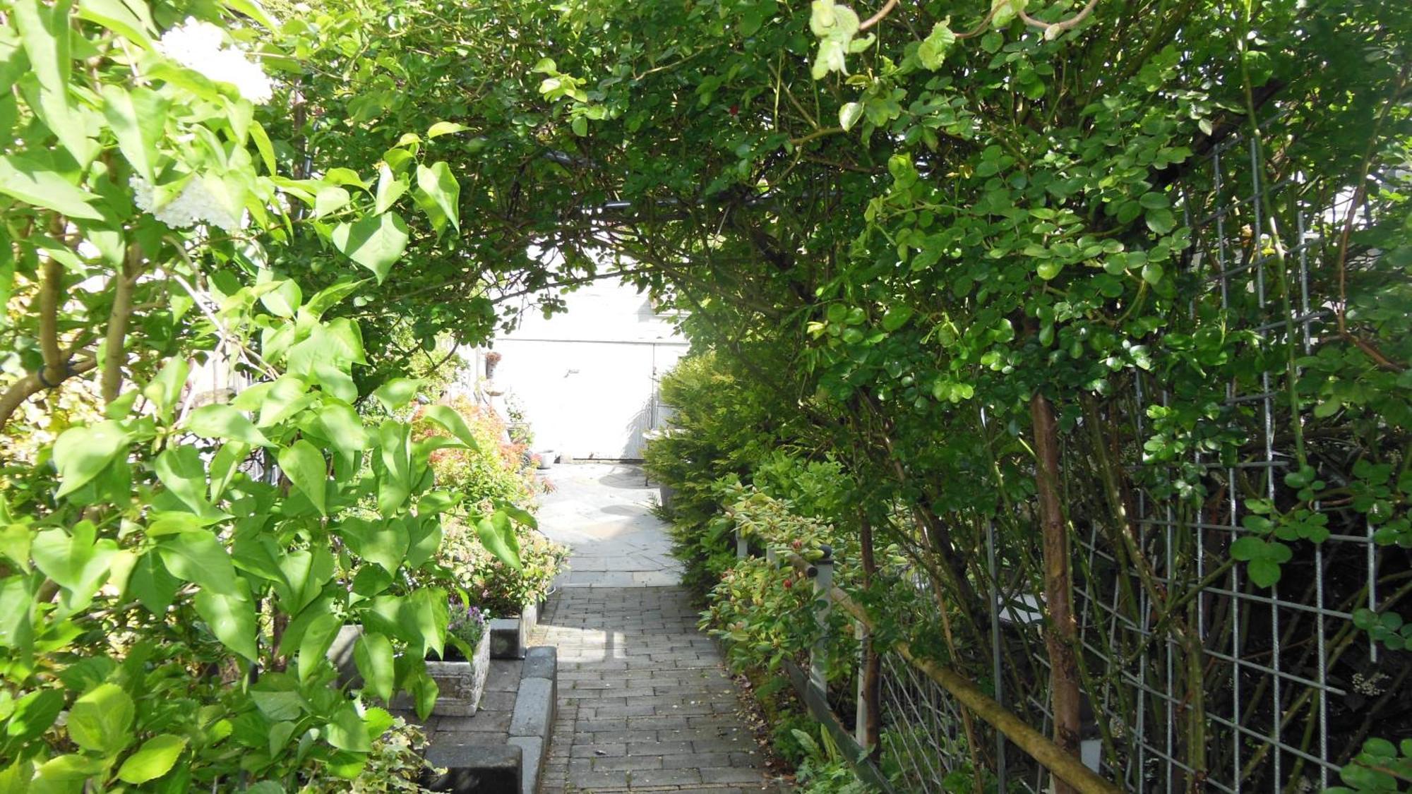 Munnik'S Hof Bed & Breakfast Amsterdam Bagian luar foto